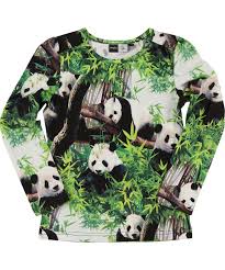 trendy panda